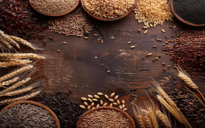 Grains: The Silent Enemy Behind Chronic Pain and Fatigue