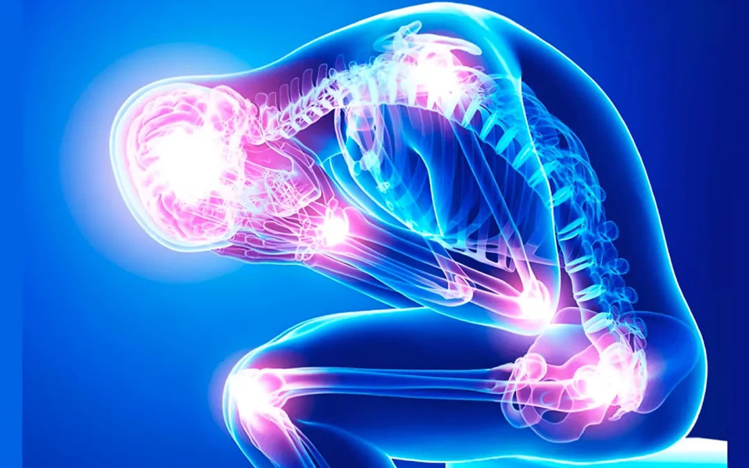 Carnivore Diet Cures Inflammation: Here’s Why