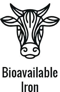 Grass-fed beef steak: Nutrient-dense protein for carnivore diet