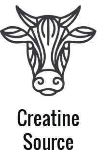 Grass-fed beef steak: Nutrient-dense protein for carnivore diet