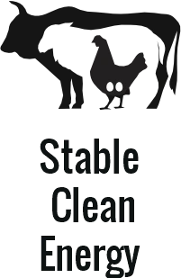 Carnivore diet plan with steak, eggs, and beef fat on a clean plate