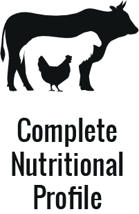 Carnivore Diet or Vegan: Which Path Honors Human Nature? 151 Floating Item
