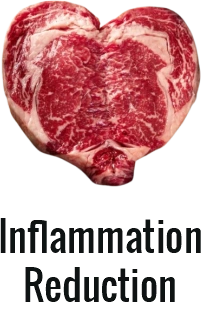 Primal human consuming nutrient-dense meat illustrating why the carnivore diet is healthy and rooted in human evolution
