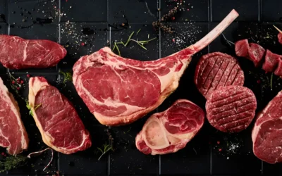 Your Carnivore Diet Plan to Burn Fat & Feel Incredible