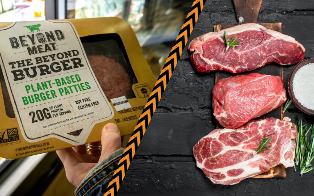 Vegan vs Carnivore: Confronting the Biological Truth Hidden by Ideology