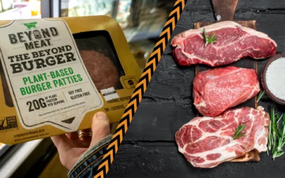 Vegan vs Carnivore: Confronting the Biological Truth Hidden by Ideology