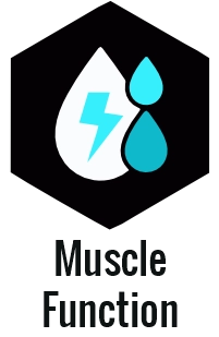 Carnivore diet electrolytes: natural sodium, potassium, magnesium sources