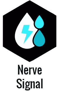 Carnivore diet electrolytes: natural sodium, potassium, magnesium sources