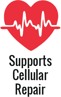Carnivore diet benefits for heart health and cardiovascular disease prevention